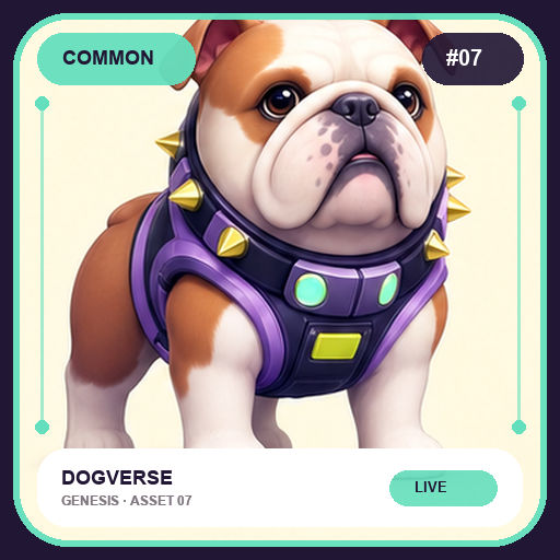 DOGVERSE 进阶伙伴